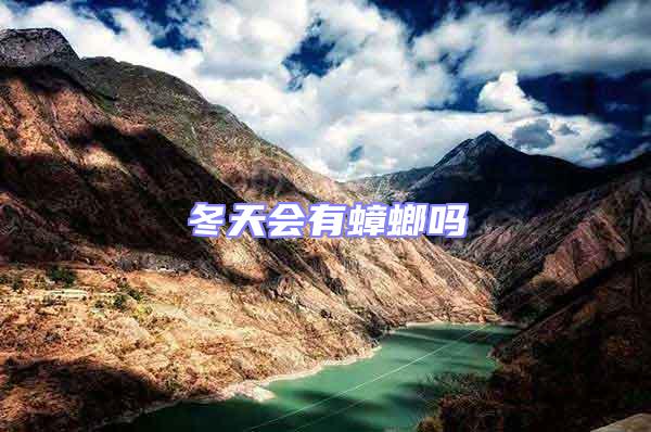 冬天會有蟑螂嗎