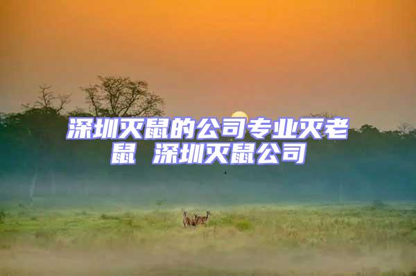 深圳滅鼠的公司專(zhuān)業(yè)滅老鼠 深圳滅鼠公司