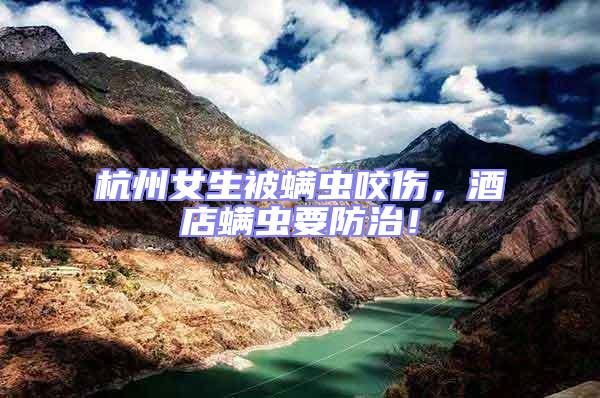 杭州女生被螨蟲咬傷，酒店螨蟲要防治！