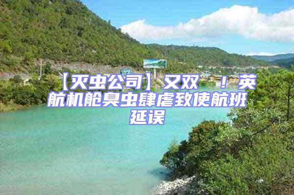 【滅蟲公司】又雙叒叕！英航機艙臭蟲肆虐致使航班延誤