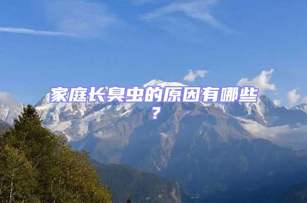 家庭長臭蟲的原因有哪些?