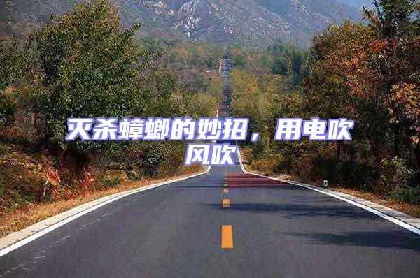 滅殺蟑螂的妙招,用電吹風吹