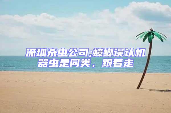 深圳殺蟲公司;蟑螂誤認機器蟲是同類,跟著走