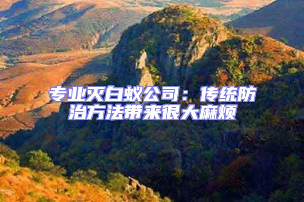 專業滅白蟻公司:傳統防治方法帶來很大麻煩