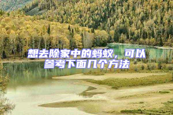 想去除家中的螞蟻,可以參考下面幾個(gè)方法