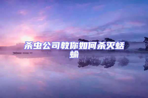 殺蟲(chóng)公司教你如何殺滅蛞蝓