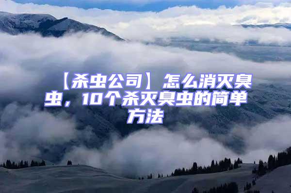 【殺蟲(chóng)公司】怎么消滅臭蟲(chóng),10個(gè)殺滅臭蟲(chóng)的簡(jiǎn)單方法