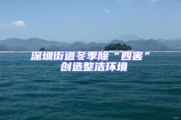深圳街道冬季除“四害” 創造整潔環境