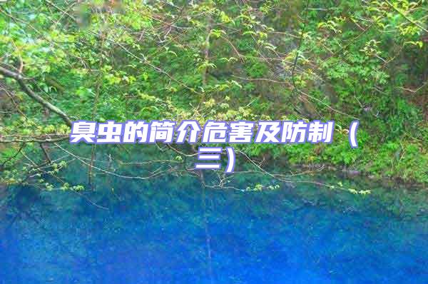 臭蟲的簡介危害及防制(三)