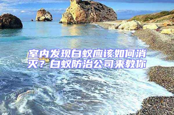 室內發現白蟻應該如何消滅?白蟻防治公司來教你