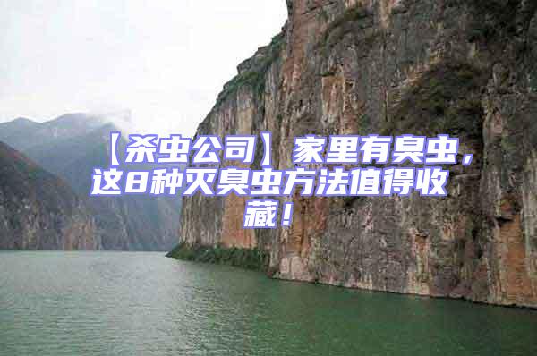 【殺蟲公司】家里有臭蟲,這8種滅臭蟲方法值得收藏!