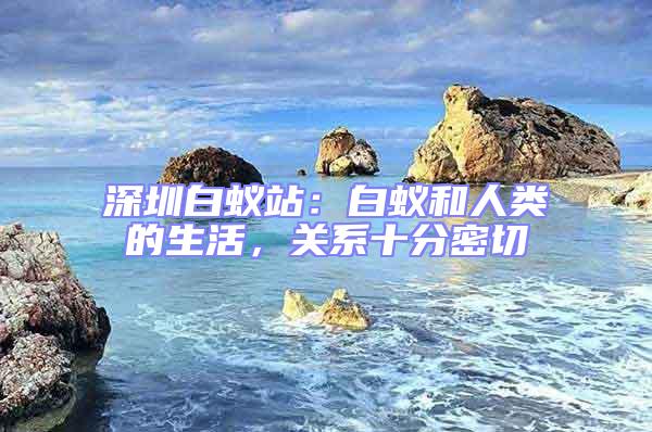 深圳白蟻站：白蟻和人類的生活，關系十分密切