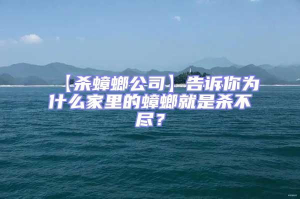 【殺蟑螂公司】告訴你為什么家里的蟑螂就是殺不盡?