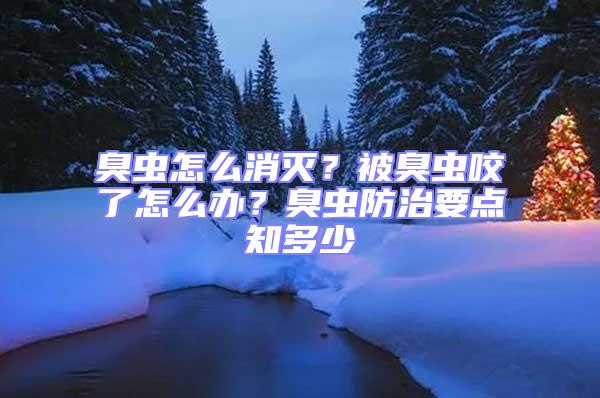 臭蟲怎么消滅？被臭蟲咬了怎么辦？臭蟲防治要點知多少