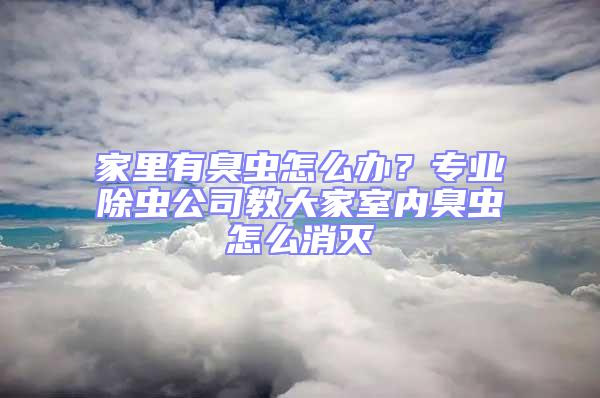 家里有臭蟲(chóng)怎么辦？專(zhuān)業(yè)除蟲(chóng)公司教大家室內(nèi)臭蟲(chóng)怎么消滅
