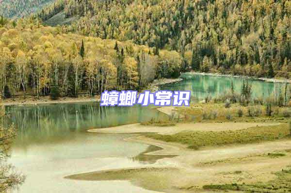 蟑螂小常識(shí)