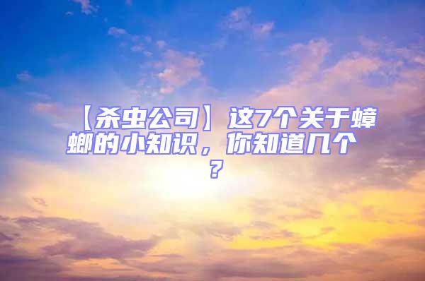 【殺蟲公司】這7個關(guān)于蟑螂的小知識,你知道幾個?