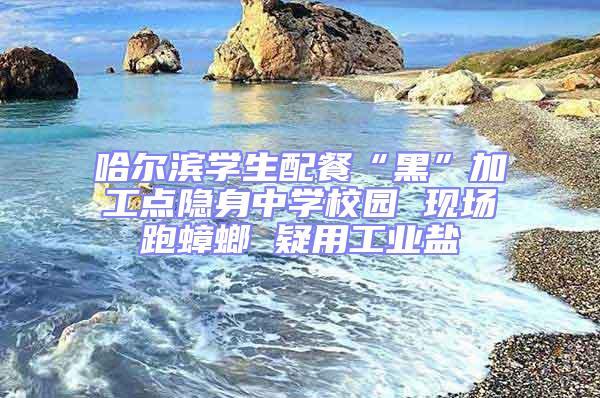 哈爾濱學生配餐“黑”加工點隱身中學校園 現場跑蟑螂 疑用工業(yè)鹽