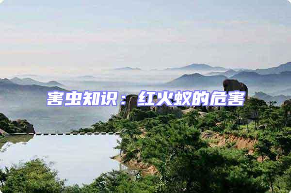 害蟲知識:紅火蟻的危害