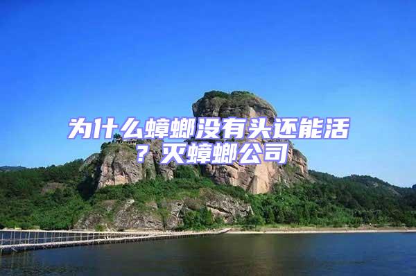 為什么蟑螂沒有頭還能活?滅蟑螂公司