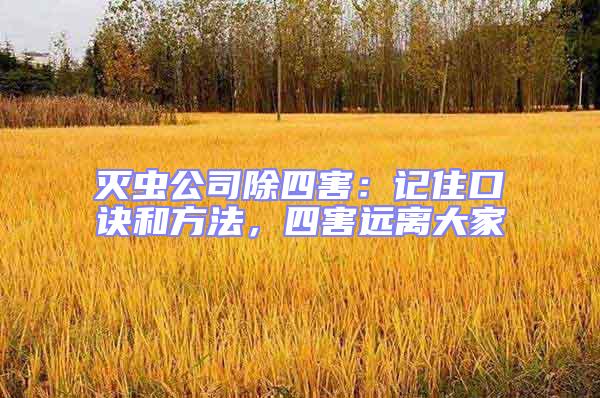 滅蟲公司除四害：記住口訣和方法，四害遠(yuǎn)離大家