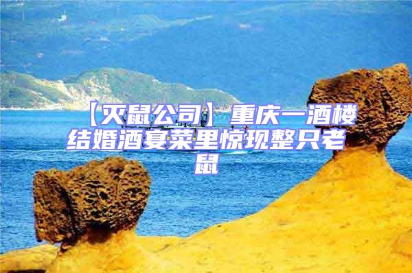 【滅鼠公司】重慶一酒樓結婚酒宴菜里驚現(xiàn)整只老鼠