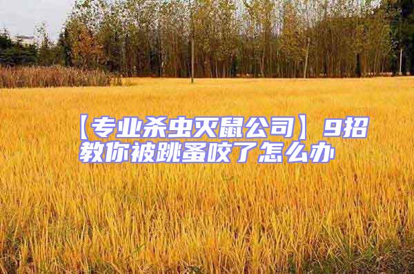 【專業(yè)殺蟲滅鼠公司】9招教你被跳蚤咬了怎么辦