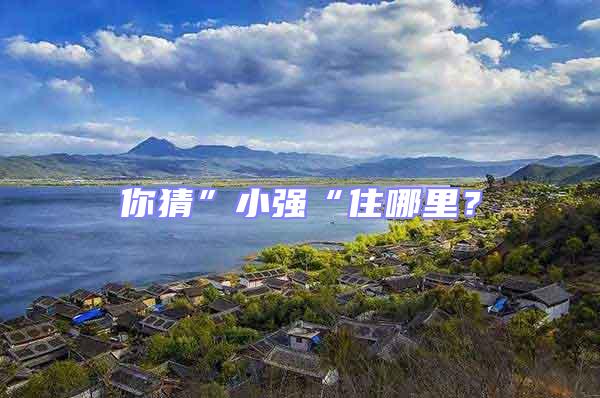 你猜”小強“住哪里？