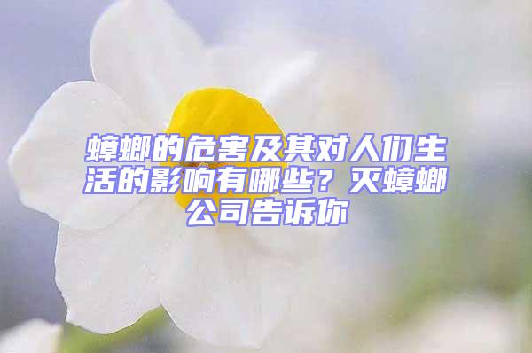 蟑螂的危害及其對人們生活的影響有哪些？滅蟑螂公司告訴你