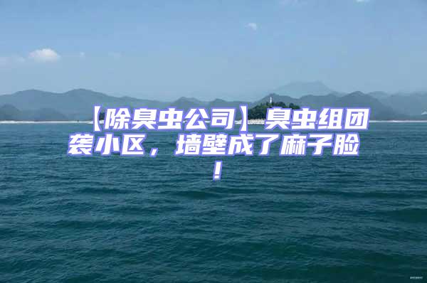 【除臭蟲公司】臭蟲組團(tuán)襲小區(qū),墻壁成了麻子臉!