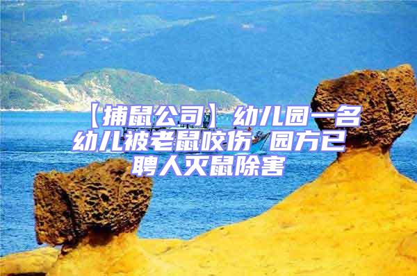 【捕鼠公司】幼兒園一名幼兒被老鼠咬傷 園方已聘人滅鼠除害