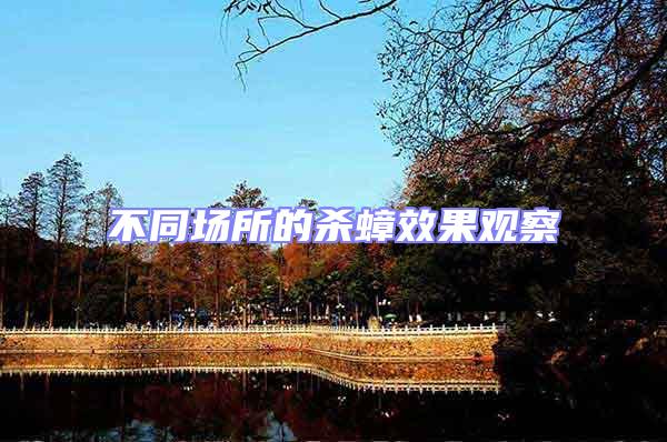 不同場所的殺蟑效果觀察