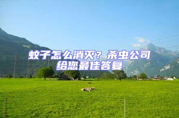蚊子怎么消滅？殺蟲公司給您最佳答復