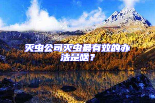 滅蟲(chóng)公司滅蟲(chóng)最有效的辦法是啥?