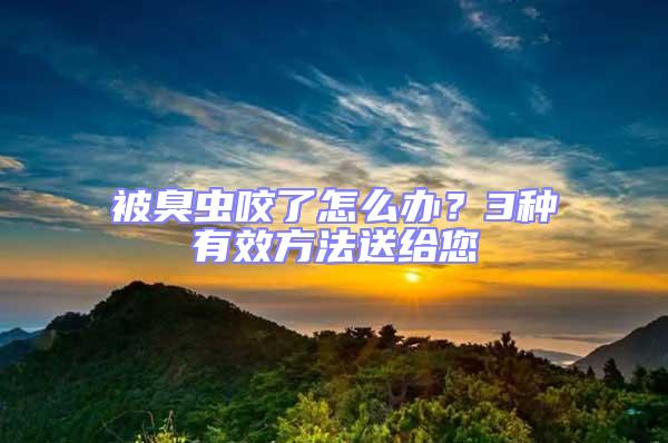 被臭蟲咬了怎么辦?3種有效方法送給您