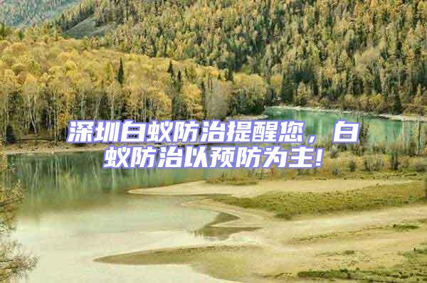 深圳白蟻防治提醒您,白蟻防治以預防為主!