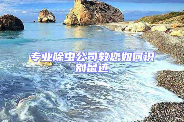 專業(yè)除蟲公司教您如何識別鼠跡