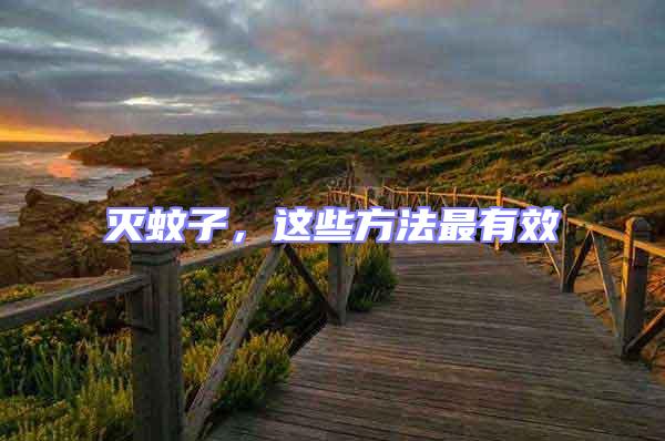 滅蚊子，這些方法最有效