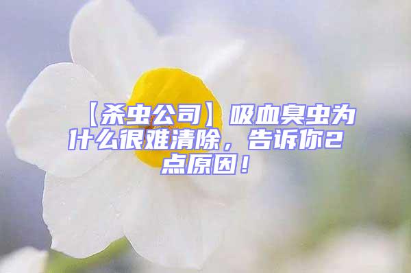 【殺蟲公司】吸血臭蟲為什么很難清除,告訴你2點(diǎn)原因!