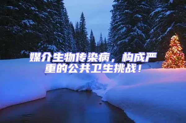 媒介生物傳染病,構成嚴重的公共衛(wèi)生挑戰(zhàn)!