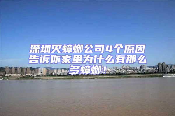 深圳滅蟑螂公司4個原因告訴你家里為什么有那么多蟑螂!