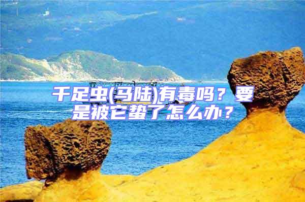 千足蟲(馬陸)有毒嗎?要是被它蟄了怎么辦?