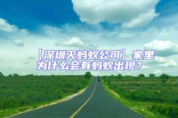 【深圳滅螞蟻公司】家里為什么會有螞蟻出現?
