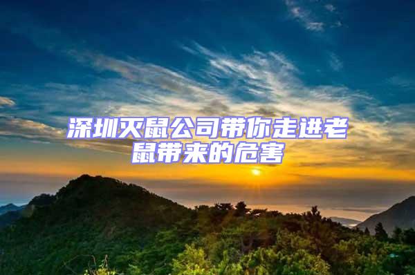 深圳滅鼠公司帶你走進老鼠帶來的危害