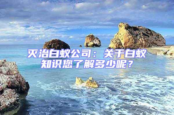 滅治白蟻公司:關(guān)于白蟻知識您了解多少呢?