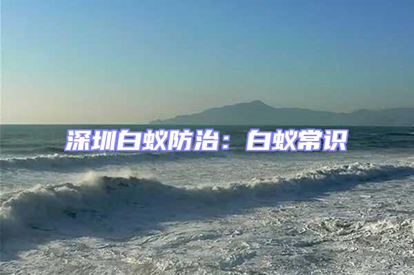 深圳白蟻防治:白蟻常識