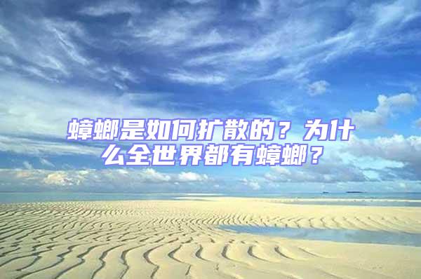 蟑螂是如何擴散的?為什么全世界都有蟑螂?