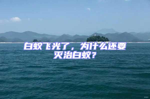 白蟻飛光了,為什么還要滅治白蟻?