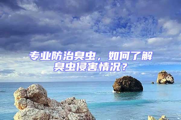 專業防治臭蟲,如何了解臭蟲侵害情況?