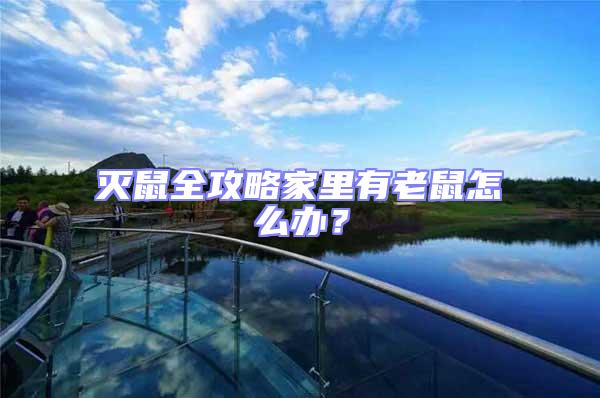 滅鼠全攻略家里有老鼠怎么辦?